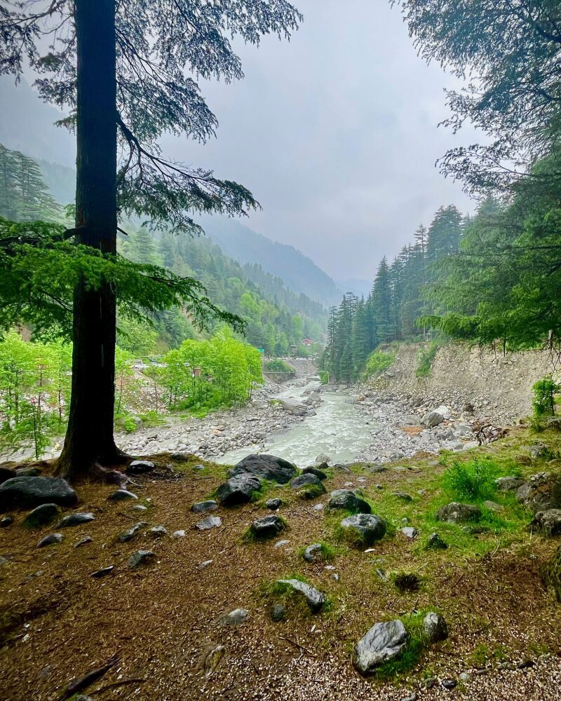 7-Day Mindfulness Retreat